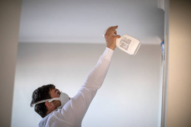 Professional Mold Remediation in Rawls Springs, MS