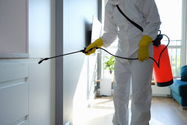 Best Attic Mold Remediation in Rawls Springs, MS