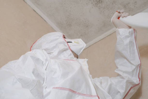 Best Residential Mold Remediation in Rawls Springs, MS