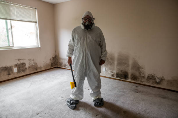 Best White Mold Remediation in Rawls Springs, MS